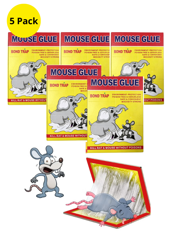 5 Pack Mouse traps